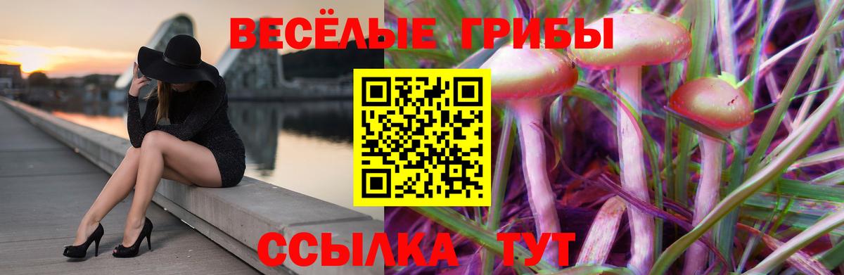 Галлюциногенные грибы Cubensis Краснотурьинск
